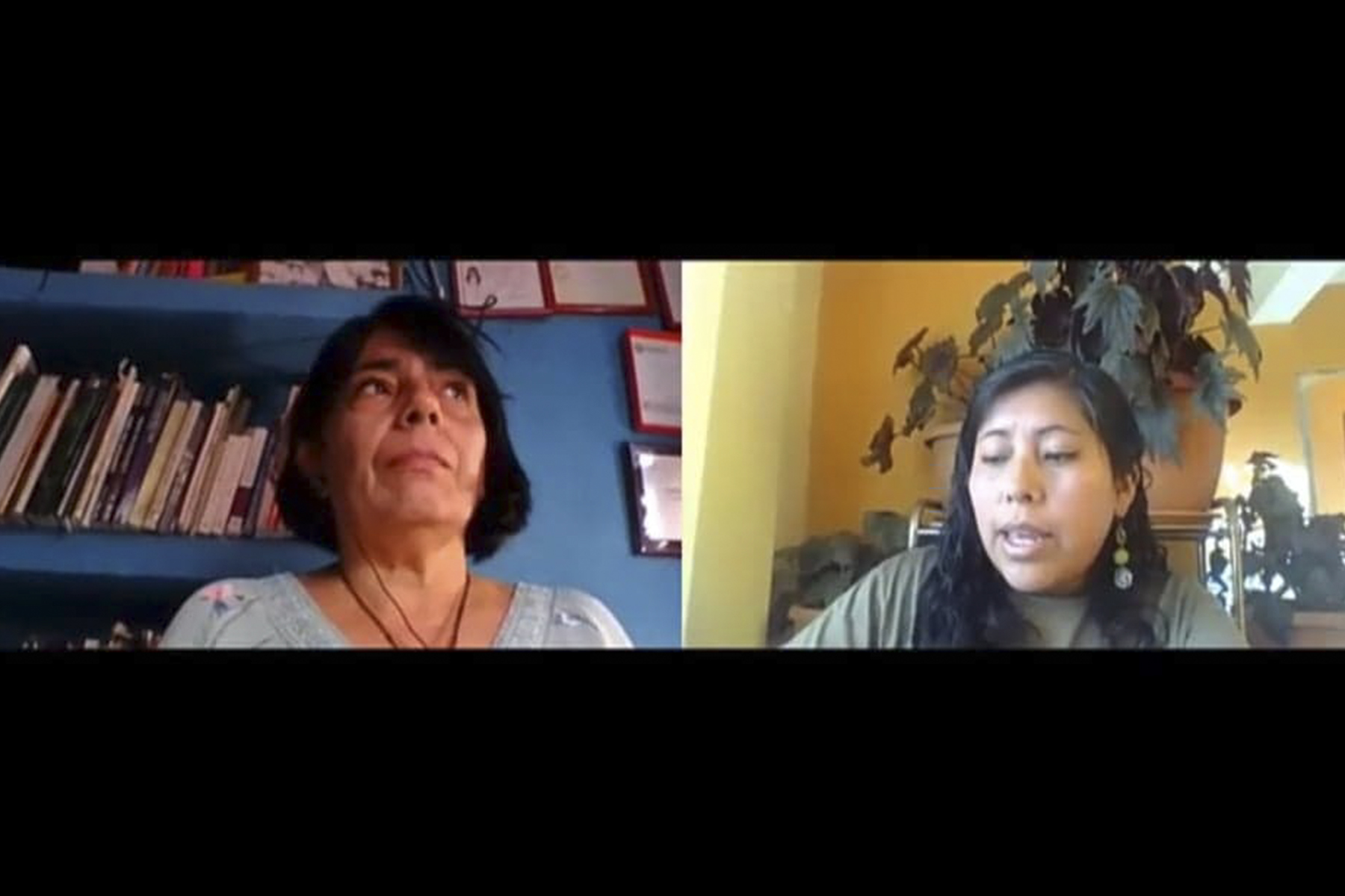 Docente Investigador de la FADU imparte videoconferencia a Miembros de PROTERRA en Latinoamérica