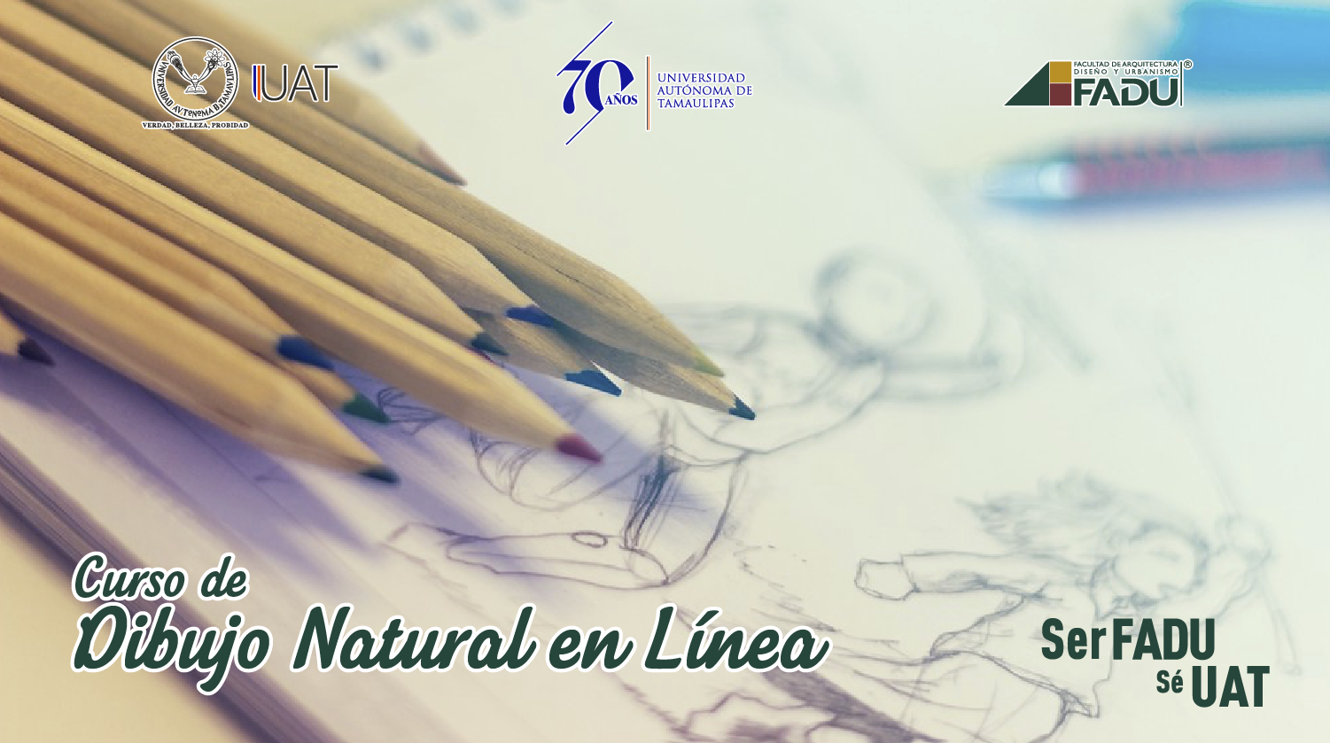 Curso taller “Dibujo natural en línea”