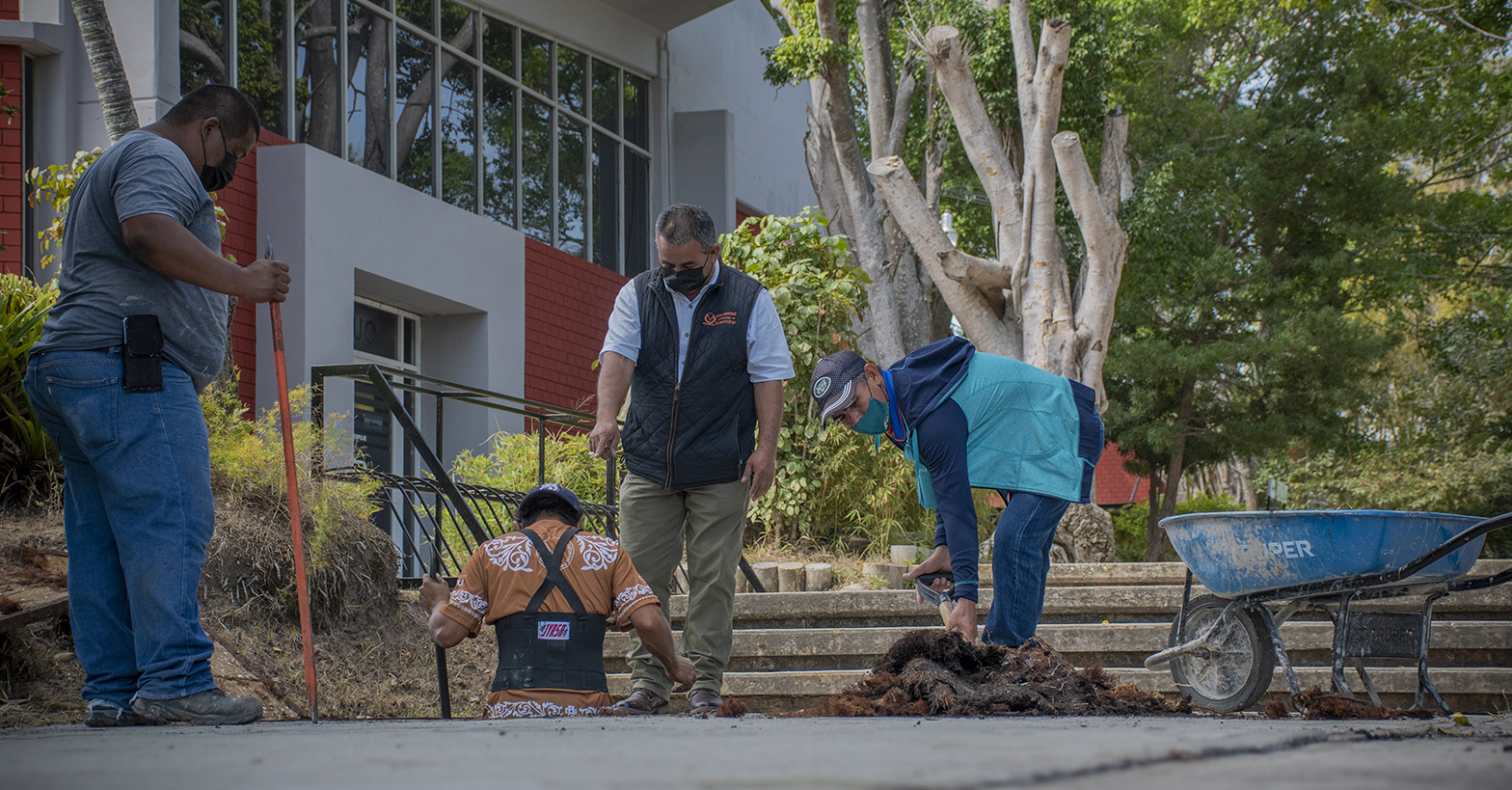 Realizan obras de mantenimiento en la FADU