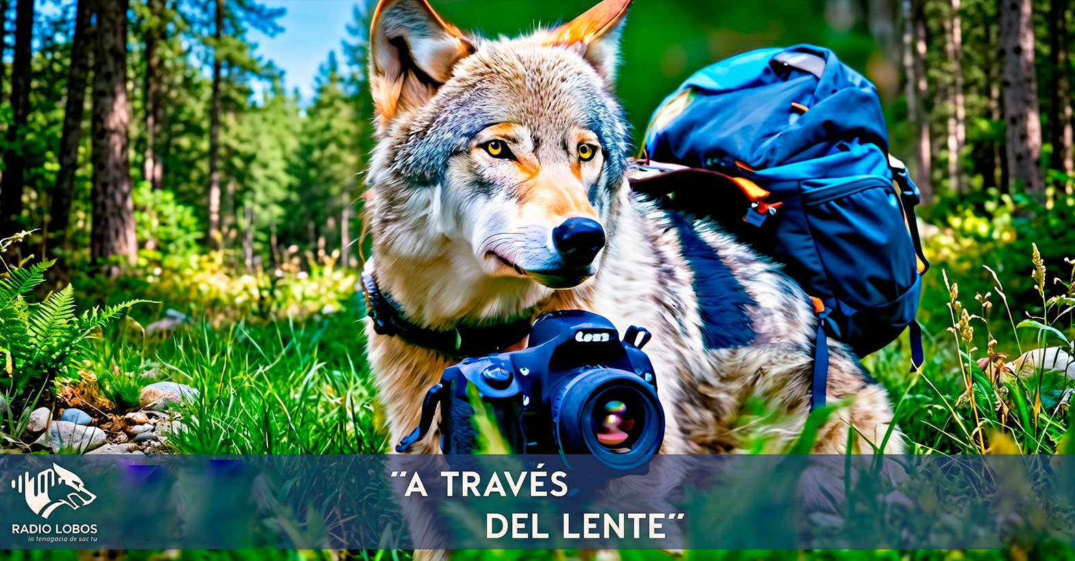 R. L. Ep.14 - "A través del lente"